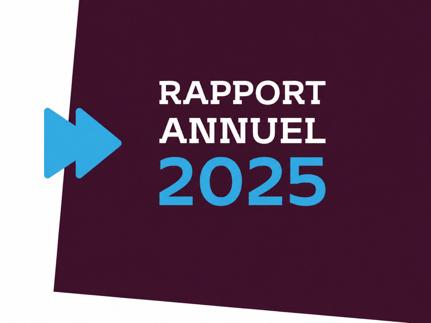 Rapport annuel 2025